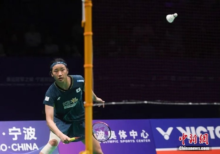 体育的比赛 体育的比赛